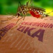 Zika, ¿Qué es?